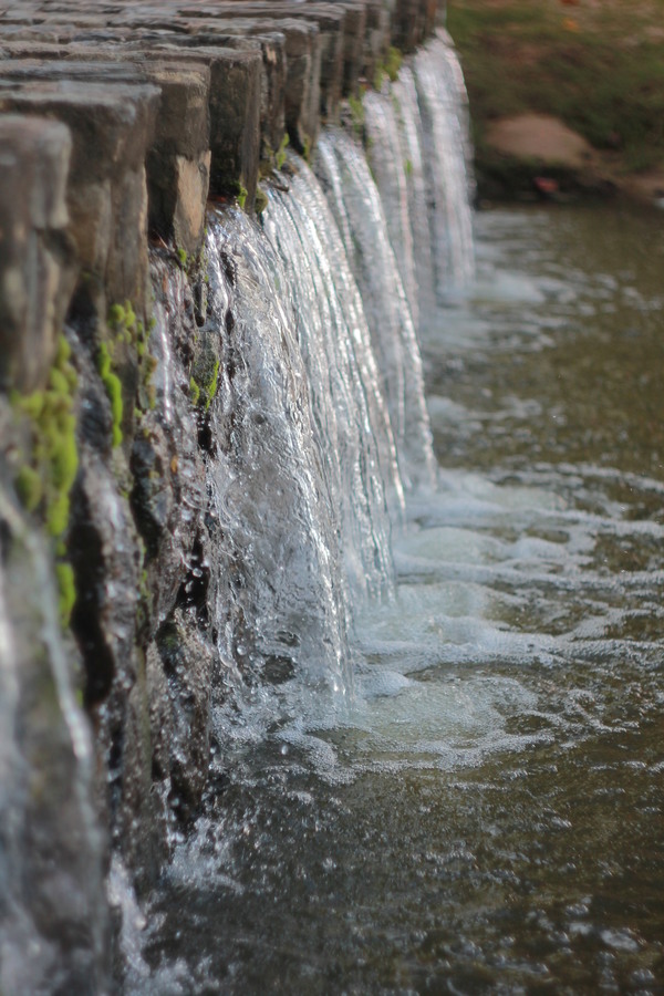 My trip. Test photo taken by lens Helios-44M  58 mm  f/ 2 on camera Canon EOS 550D