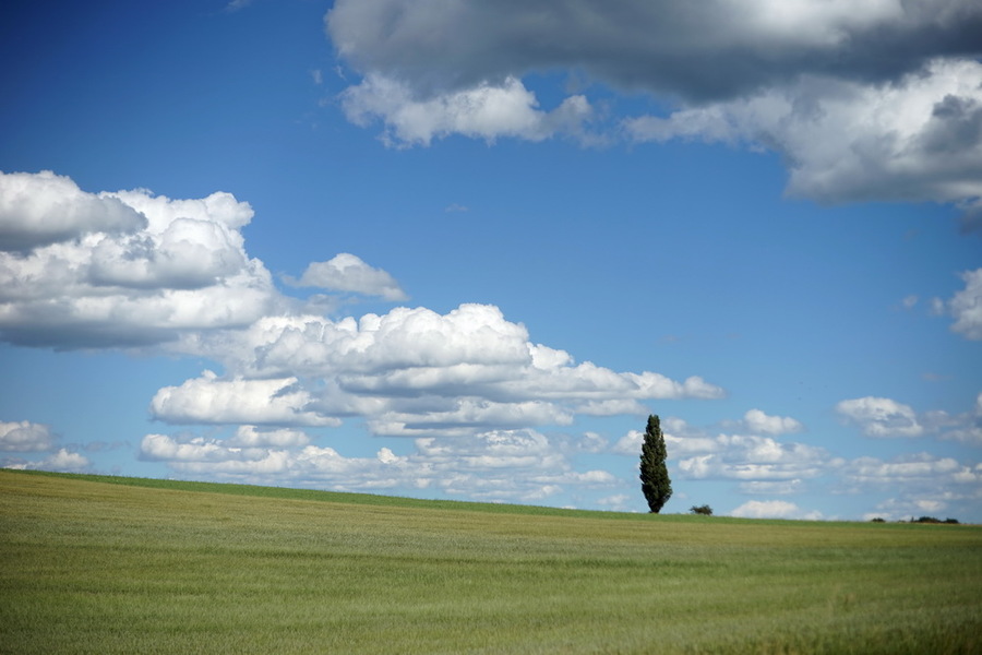 Vignetting wide open. Test photo taken by lens Carl Zeiss Planar T* 50 mm f/ 1.4 C/Y on camera Sony A7