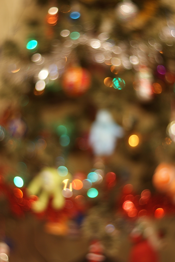 New Year. Test photo taken by lens Cyclop 85 mm f/ 1.5 on camera Sony Alpha 200